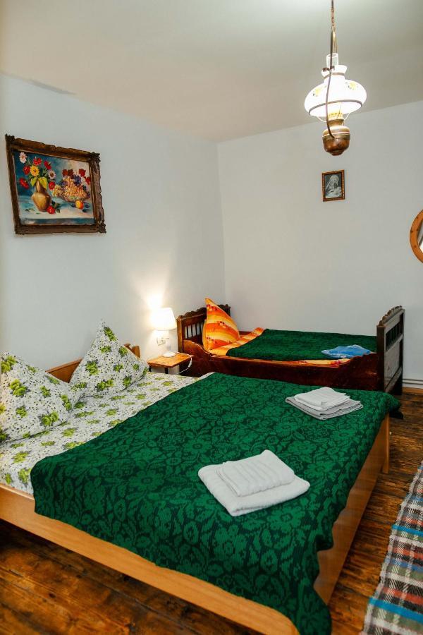 Casa Pe Valea Hartibaciului ξενώνας Barcut Εξωτερικό φωτογραφία