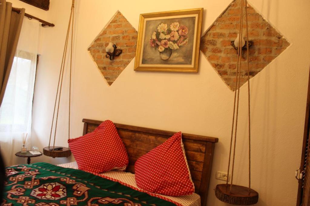Casa Pe Valea Hartibaciului ξενώνας Barcut Εξωτερικό φωτογραφία
