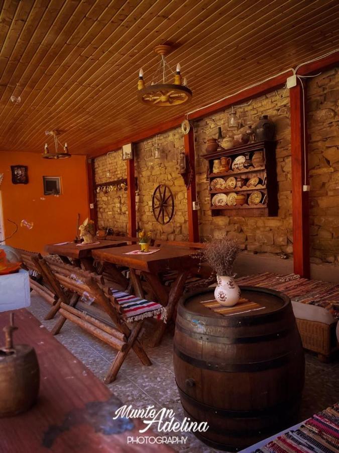 Casa Pe Valea Hartibaciului ξενώνας Barcut Εξωτερικό φωτογραφία