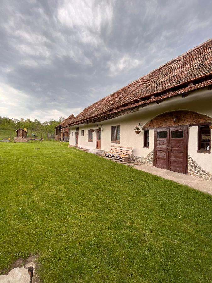 Casa Pe Valea Hartibaciului ξενώνας Barcut Εξωτερικό φωτογραφία