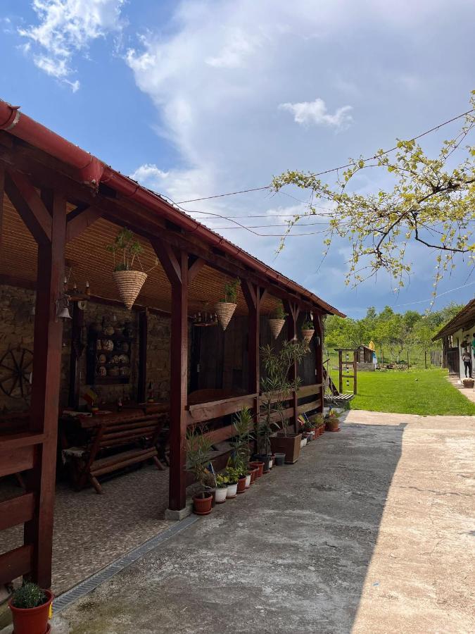 Casa Pe Valea Hartibaciului ξενώνας Barcut Εξωτερικό φωτογραφία