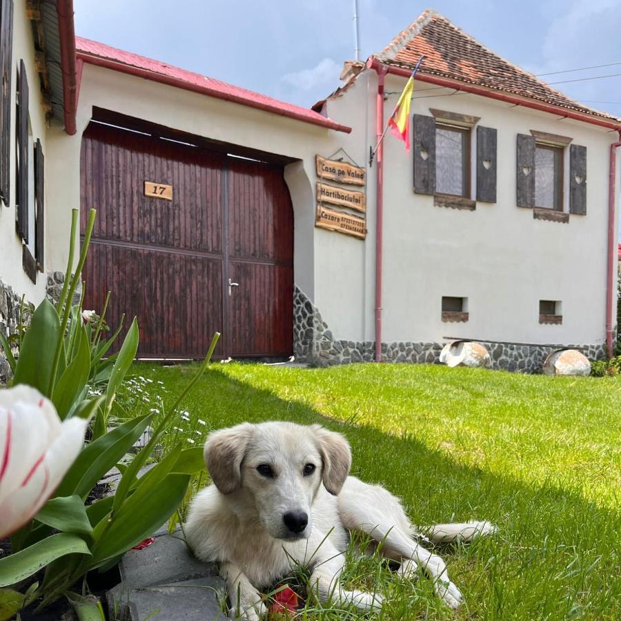 Casa Pe Valea Hartibaciului ξενώνας Barcut Εξωτερικό φωτογραφία